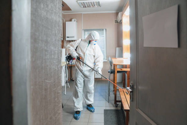 Mold Odor Removal Services in Anchor Point, AK