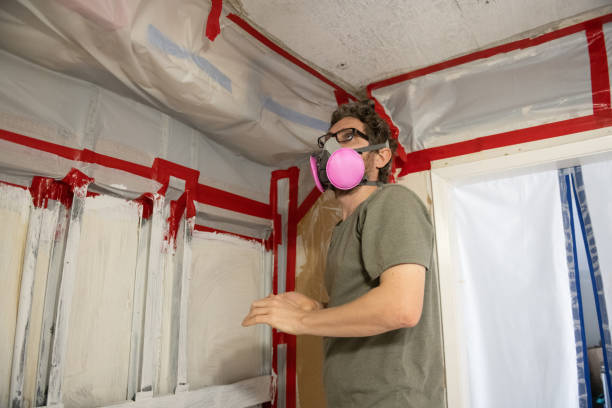 Best Forensic Mold Investigation  in Anchor Point, AK