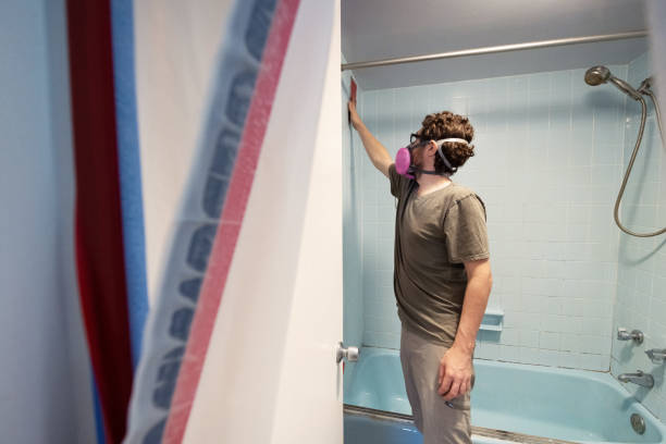 Best Asbestos and Lead Testing During Mold Inspection  in Anchor Point, AK