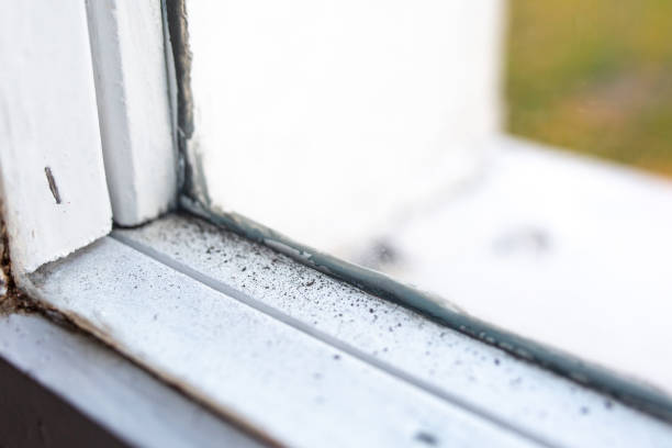 Best Indoor Air Quality Assessment  in Anchor Point, AK
