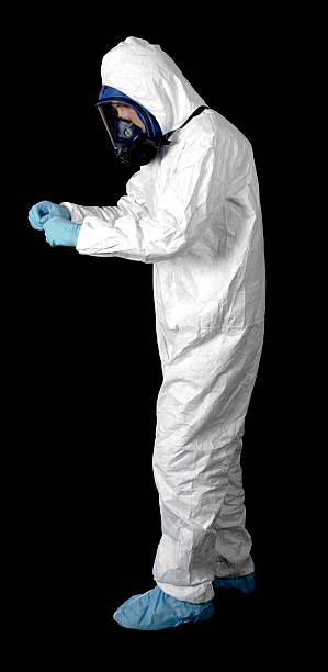 Forensic Mold Investigation in Anchor Point, AK