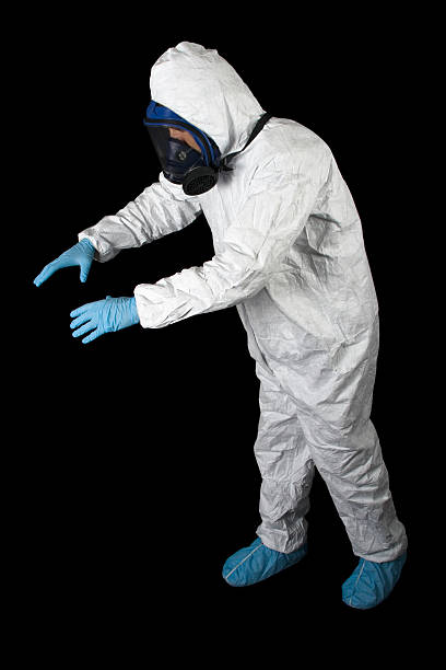 Best Attic Mold Removal  in Anchor Point, AK