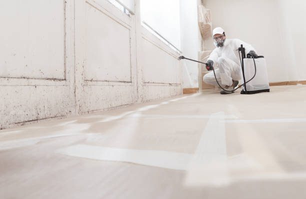 Best Industrial Mold Remediation  in Anchor Point, AK